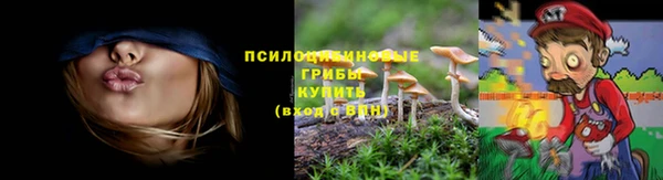дживик Зеленодольск