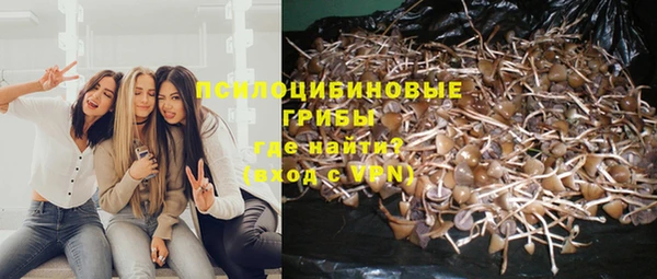дживик Зеленодольск
