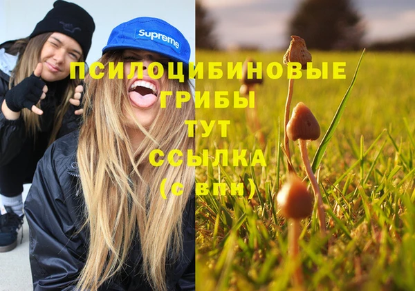 дживик Зеленодольск