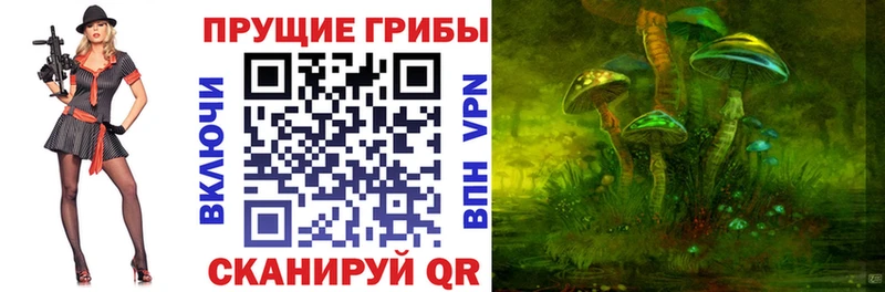Галлюциногенные грибы мицелий  сколько стоит  Лахденпохья 